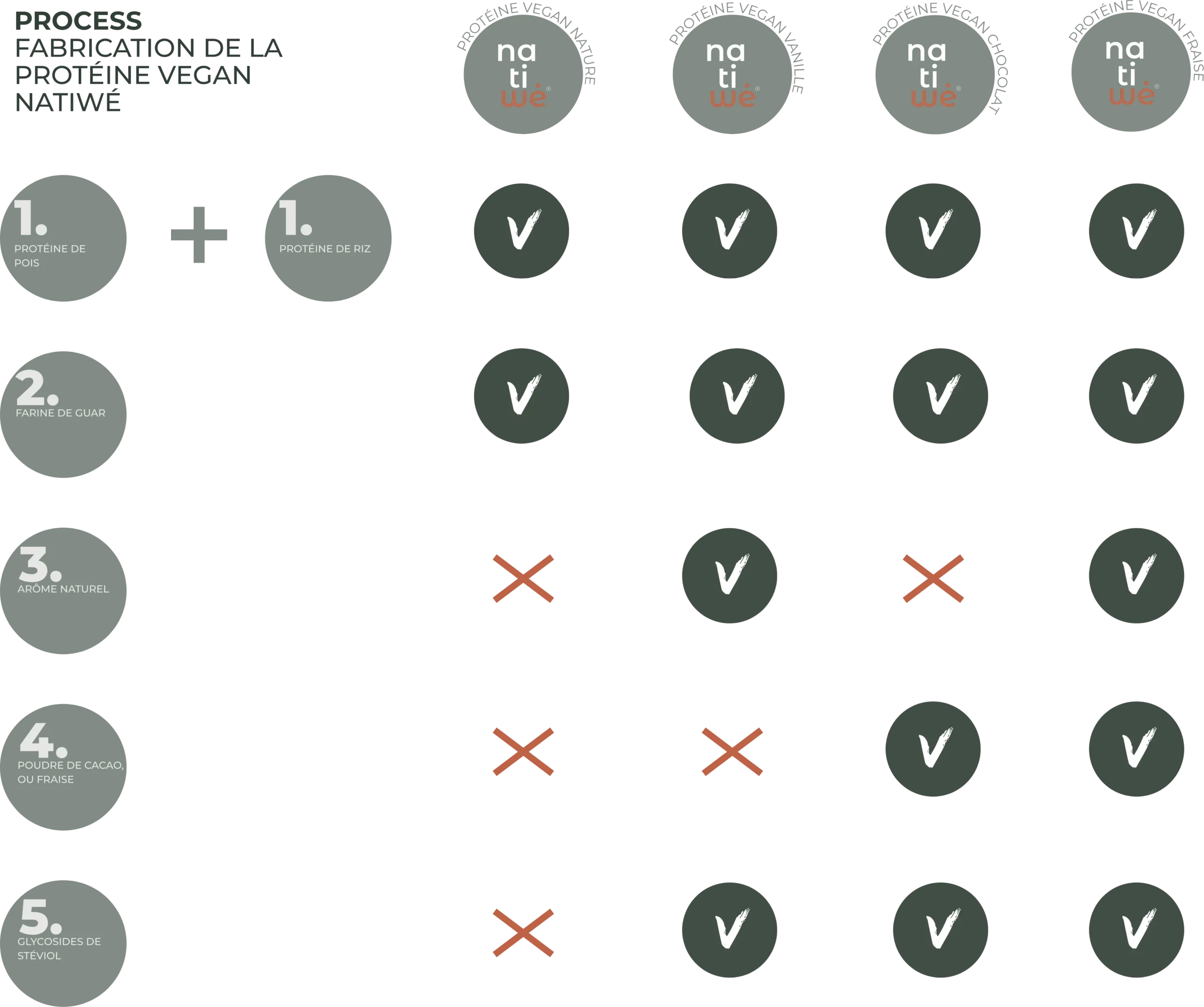 Vegan whey composition details