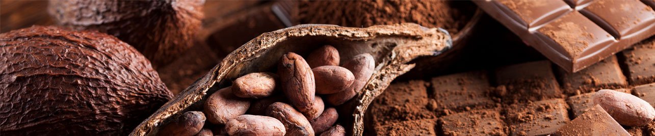 Whey protéine Natiwé à la poudre de cacao